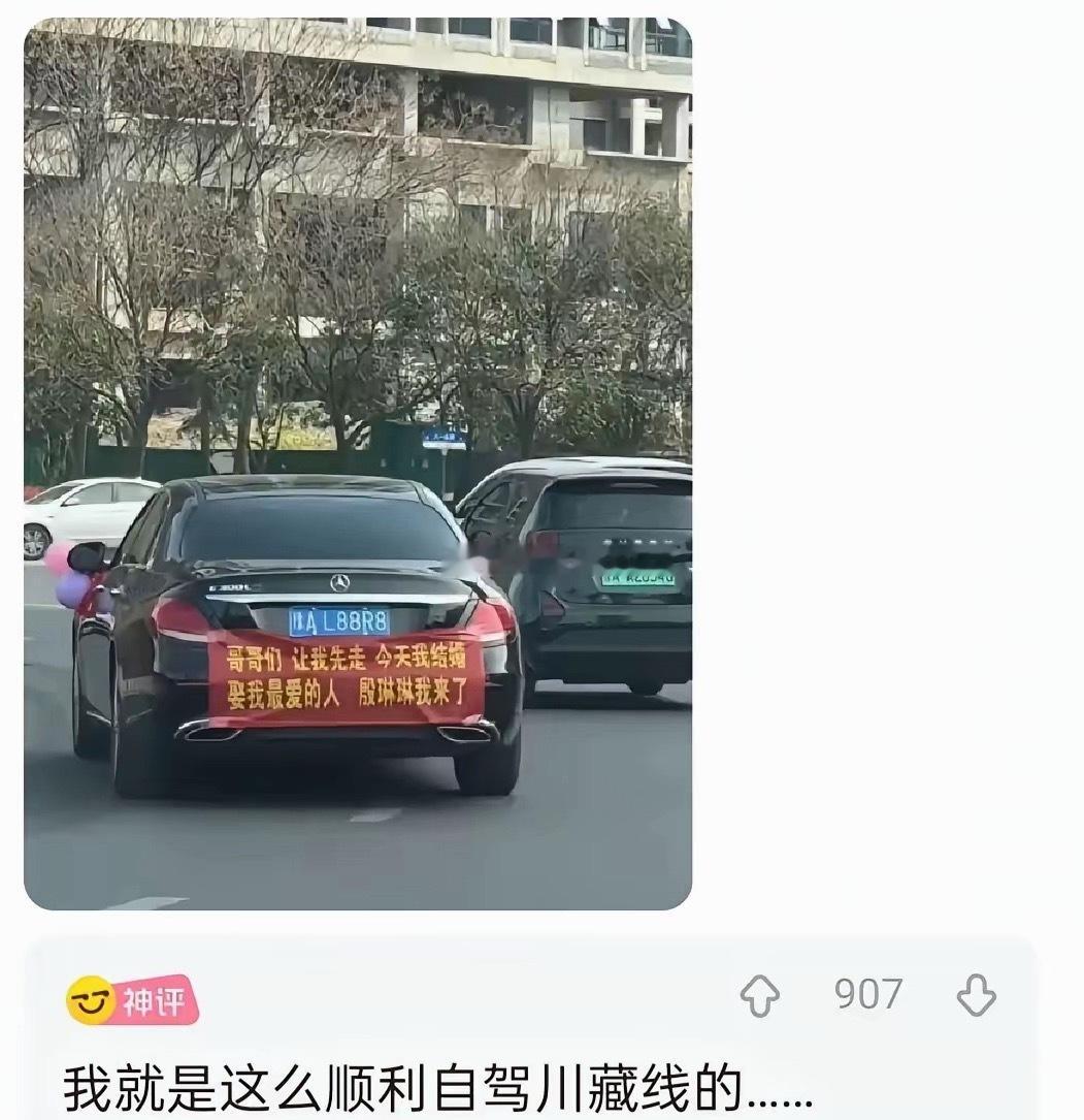 车主太聪明了吧
