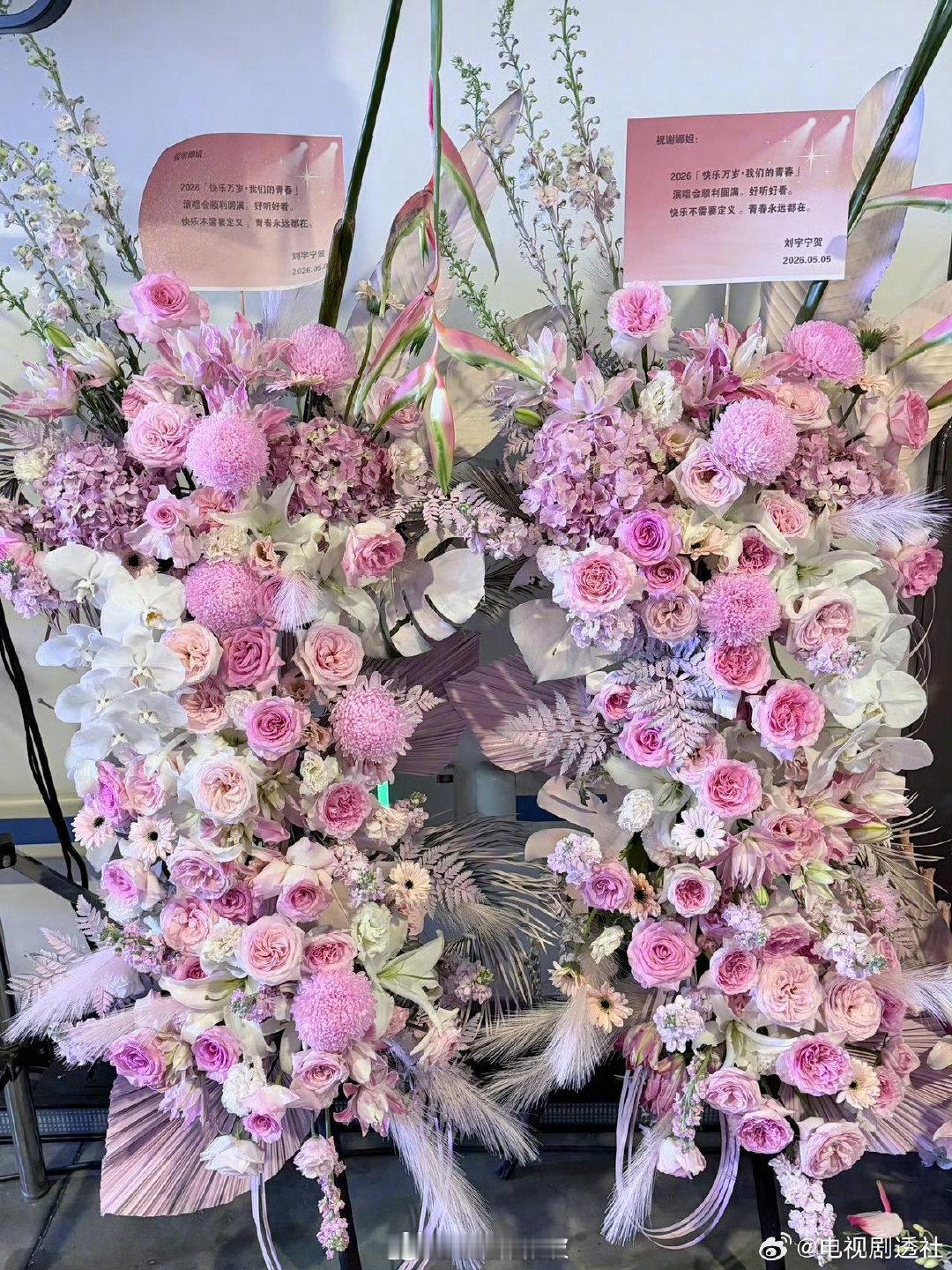 宋雨琦送谢娜演唱会花篮林志颖送谢娜演唱会花篮杜华送谢娜演唱会花篮娜姐的演唱会也太
