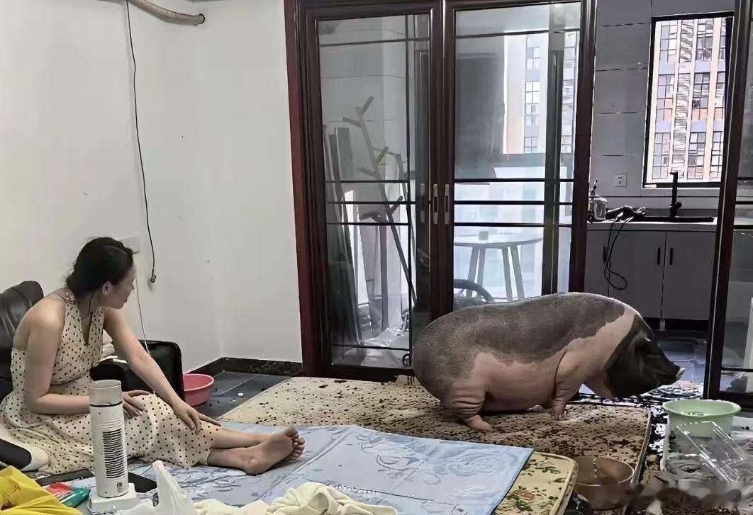 这样的家，我是一刻都呆不下去！