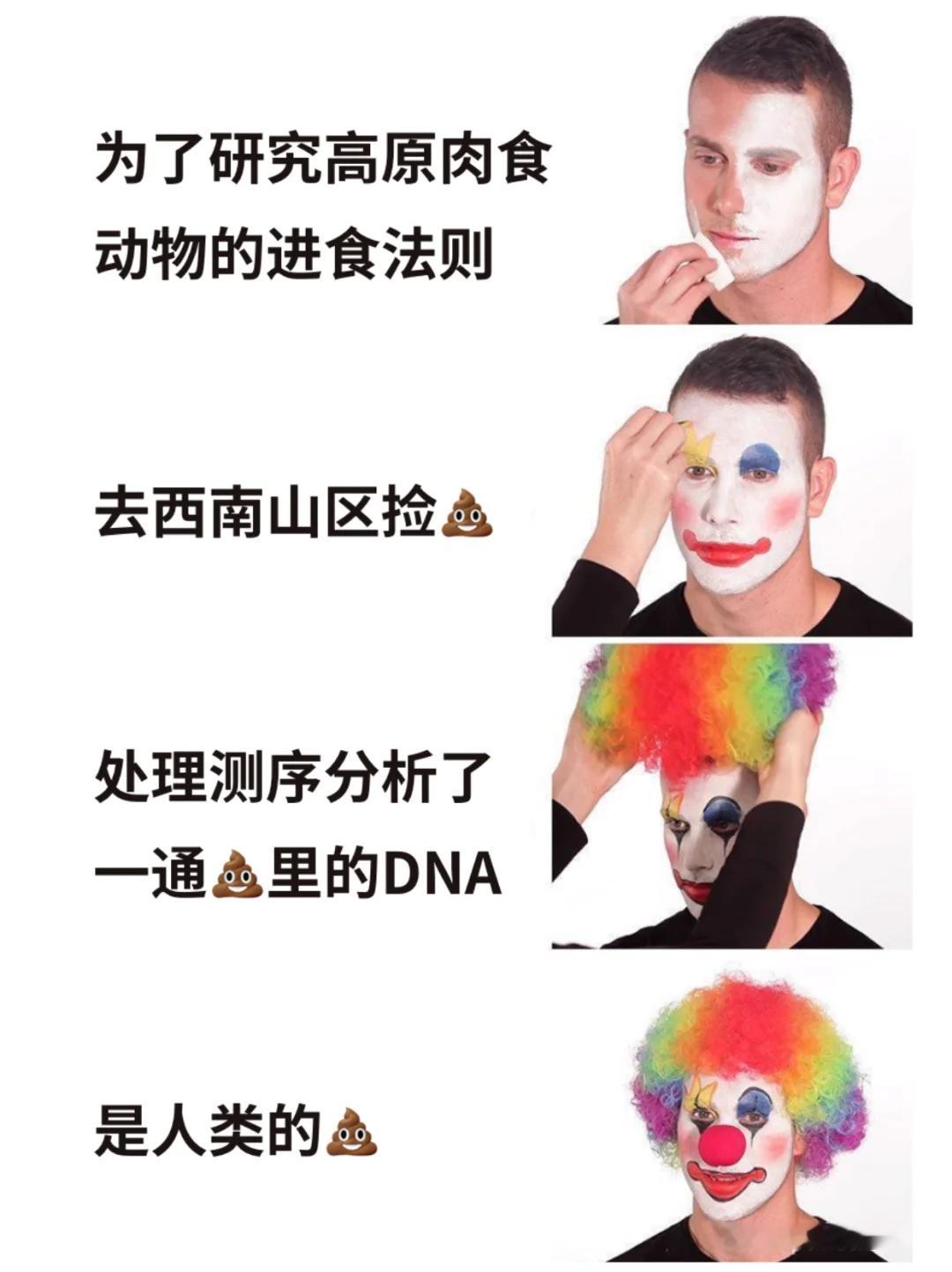 “你有时间简史吗？”“我有时间也不捡好吧？？！”下面你将看到：野生动物研