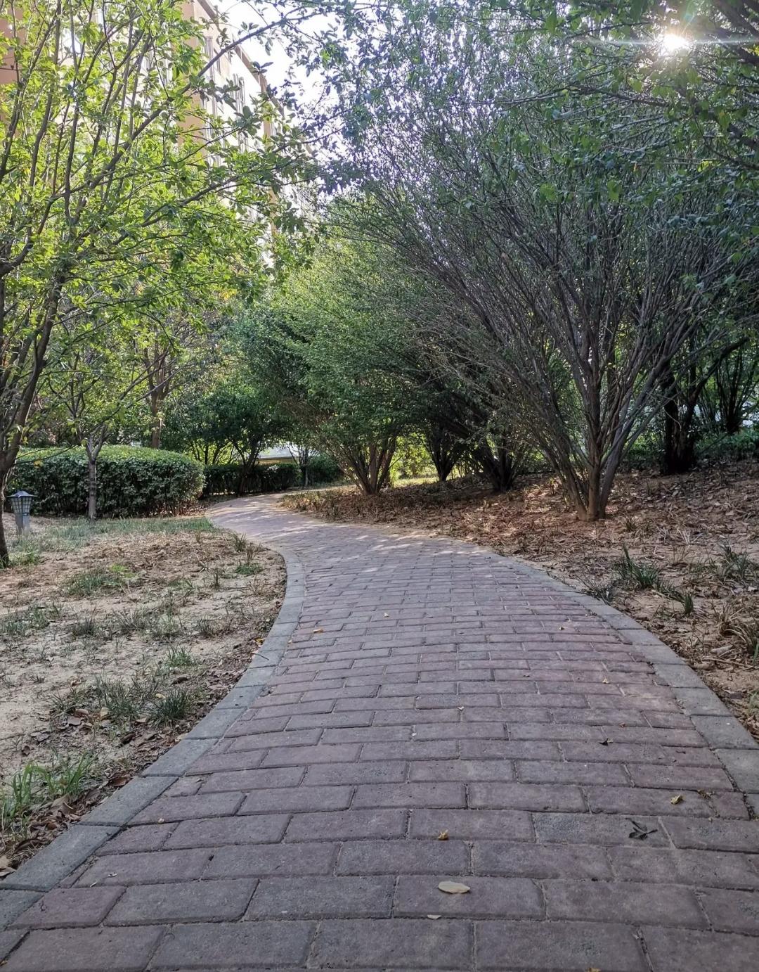 退休后的我，是不是太失败了发现自从我退休后，突然发现身边没有朋友了，每天都是自