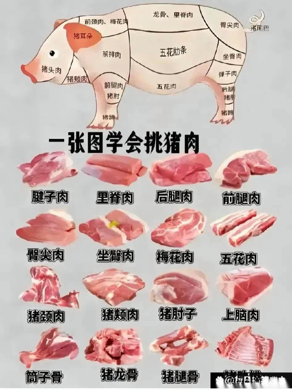 一张图学会怎么挑猪肉~