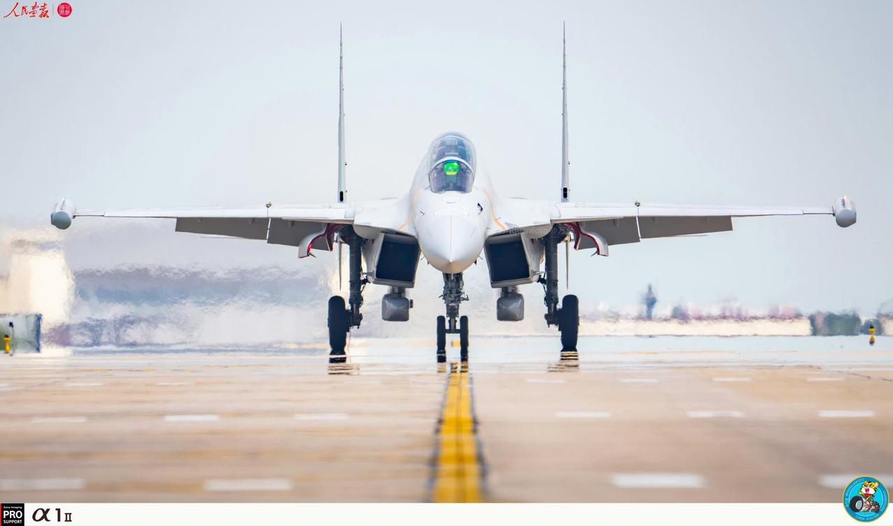 歼-15DT正面标准照，世界上威力最强大的舰载电子战飞机，也是性能最强的双发重型