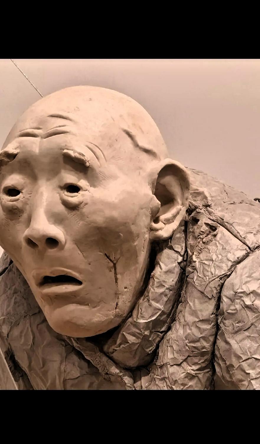 艺术不应该是传播表达美吗？这是央美毕业展作品，大家觉得怎样？美吗？不是所有的