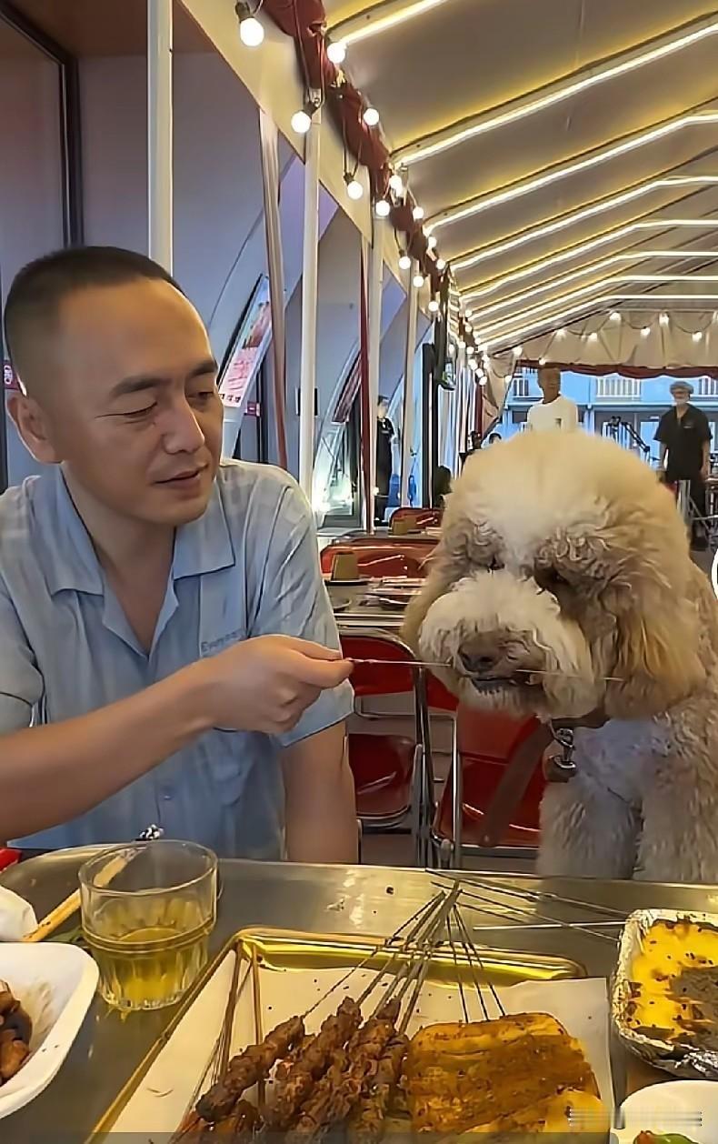 这个人纯是来祸害这家烧烤店的，这烧火店里，让狗站在椅子上，吃起了肉串，别人看到这