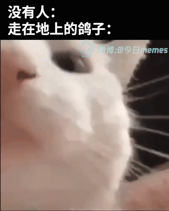 嗯嗯嗯（9gag）今日meme今日memes