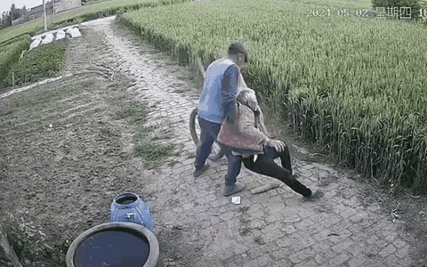 老人咋了？让人感慨万千的一幕。…特别是农村的老人，养老是多么的可怜！