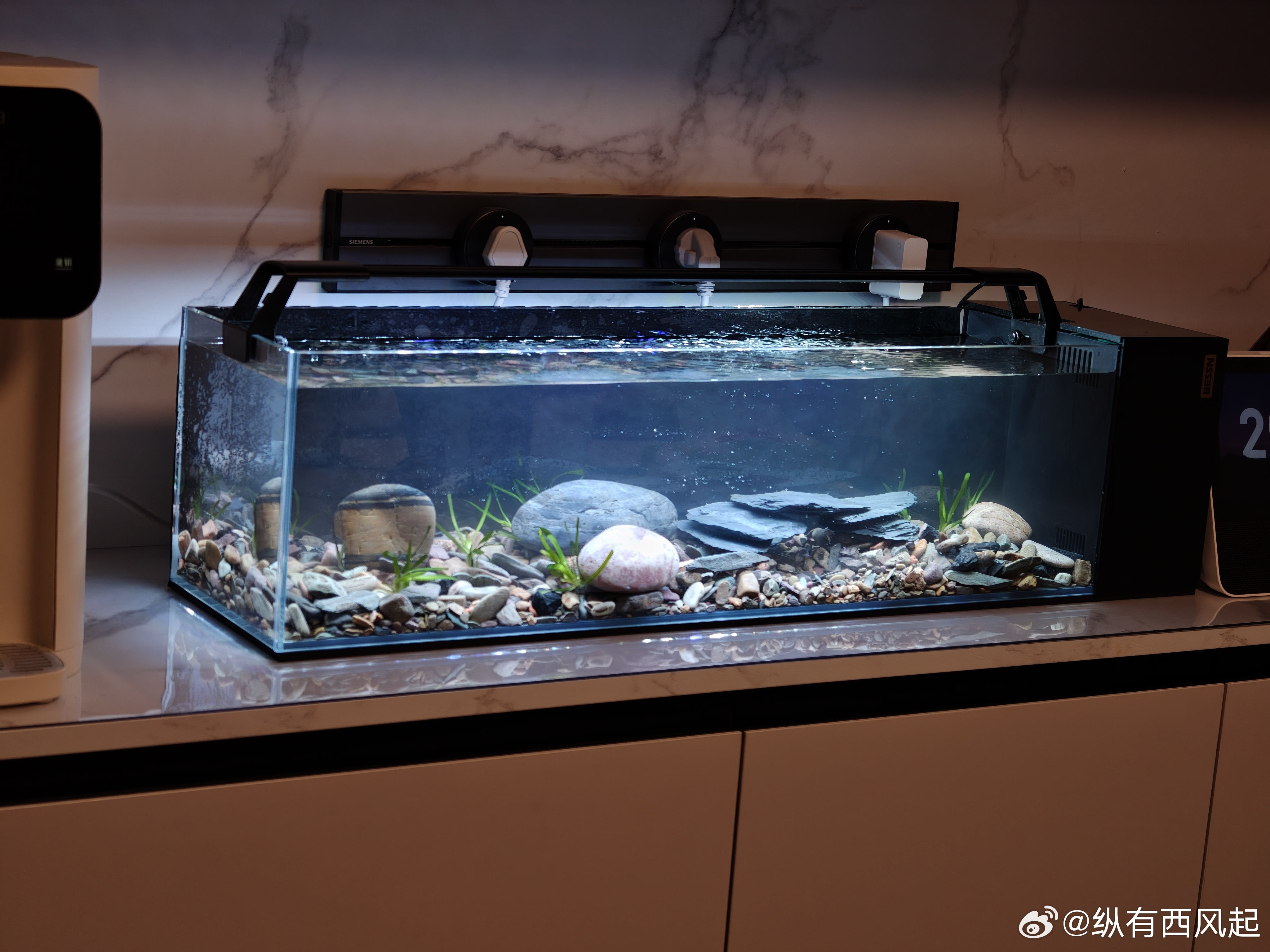 忙了一下午就开了这么一个小溪流缸，没敢买太大的，怕餐边柜承重不了，啥小型鱼好养帮