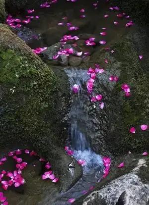 上联：？？？下联：花落流水江边眠。