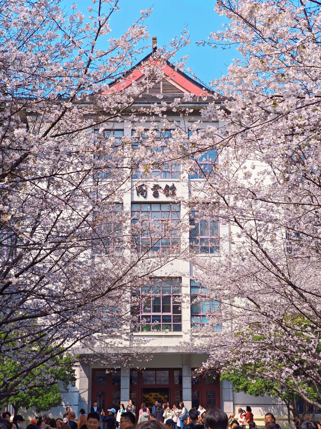 🌞南京正值赏花季！怀念周末的晴天啦～