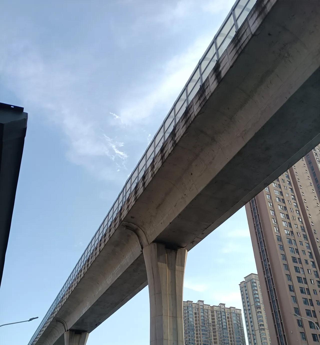 武大杨同学的经历其实给好多人提供了一个可以复制粘贴的模板。如果学习成绩不是那么