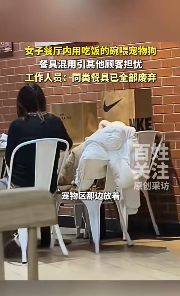 “顾客天塌了！”12月14日，北京，一女子吃饭时，发现邻桌的客人正用盘子给狗喂食