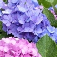 每日一善每日一善除了我们自己以外，没有人能贬低我们。如果我们坚强，就没有