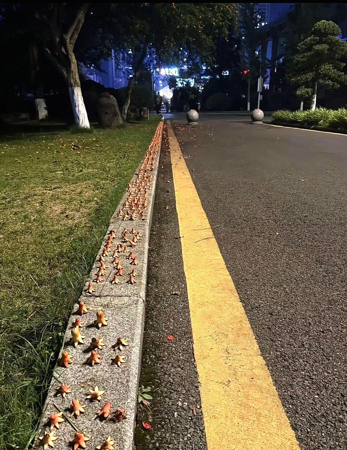 真不知道到底是谁，居然这么有耐心。