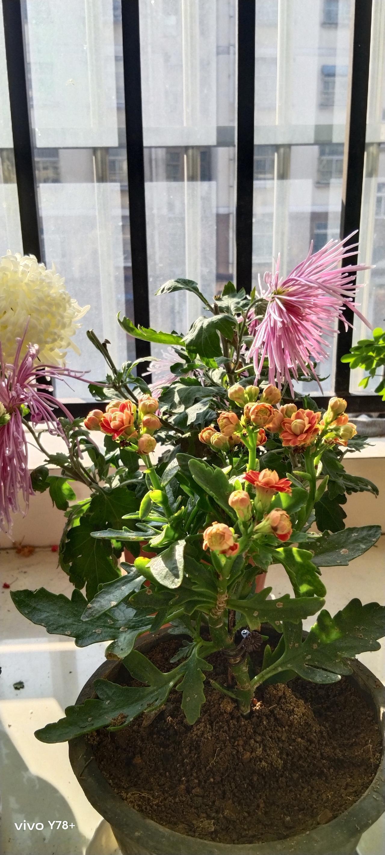 2025年给退休人员涨养老金，2024年就开始造舆论了。虽然有点小失望，涨的有点