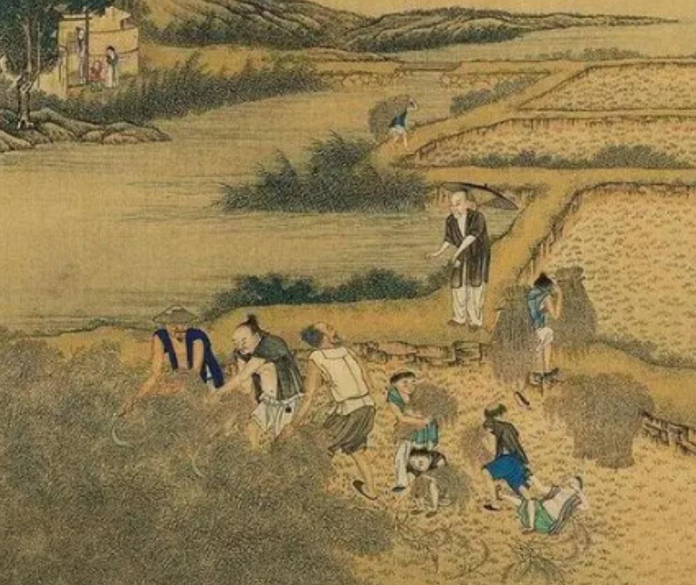 为什么古人的平均寿命啊，它都非常短呢？ 网上有个热门问题：如果让你选一个朝代