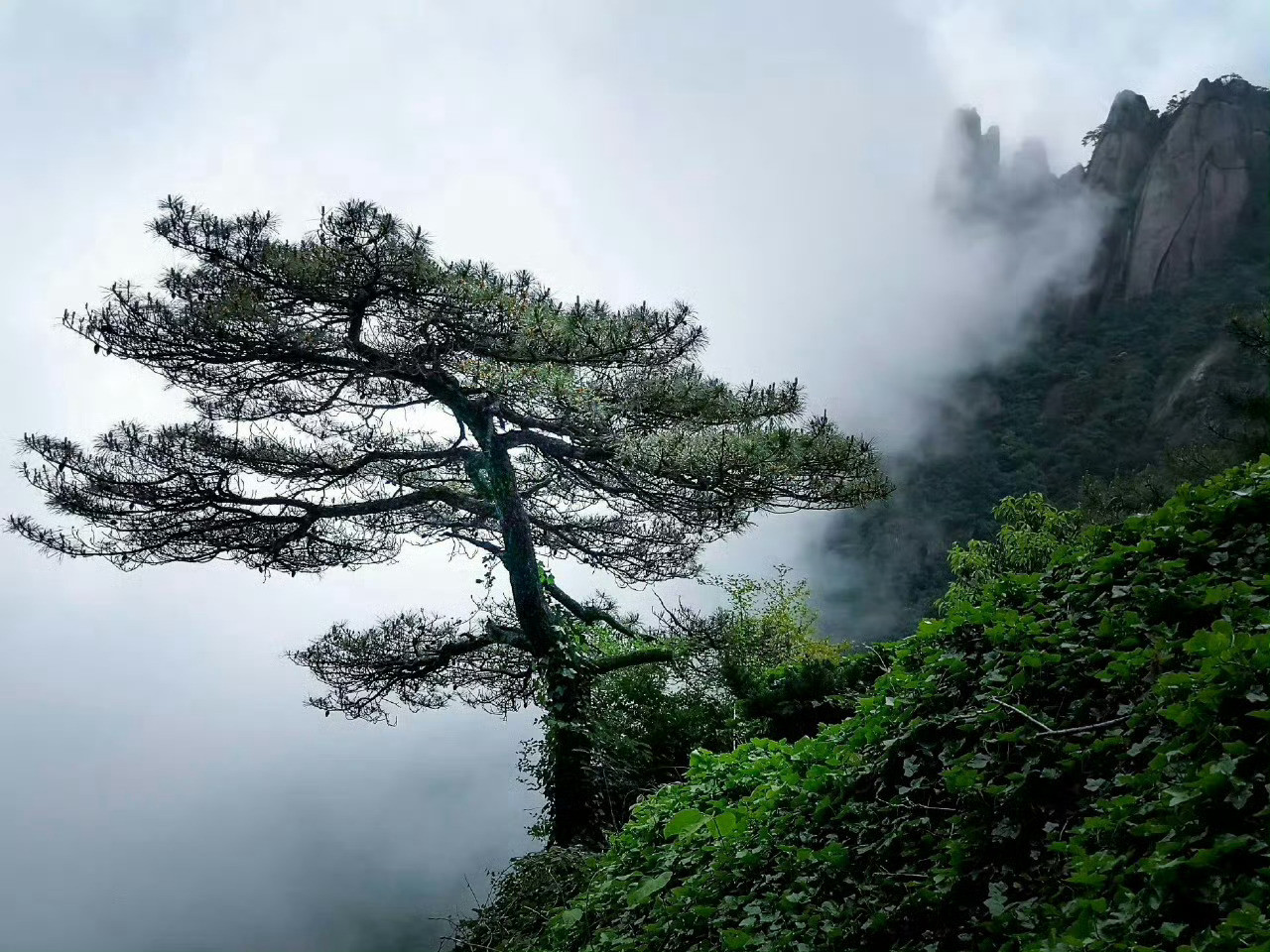 三清山不缺少雨雾的青睐，云雾给它蒙上一层滤镜，它孤清、浩荡，就如武侠景般令人参悟