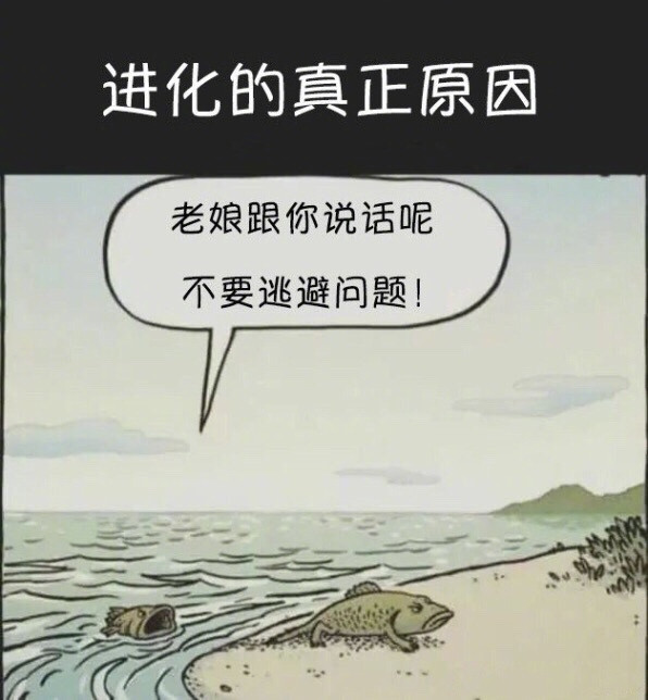 进化的真正原因​搞笑​​​​