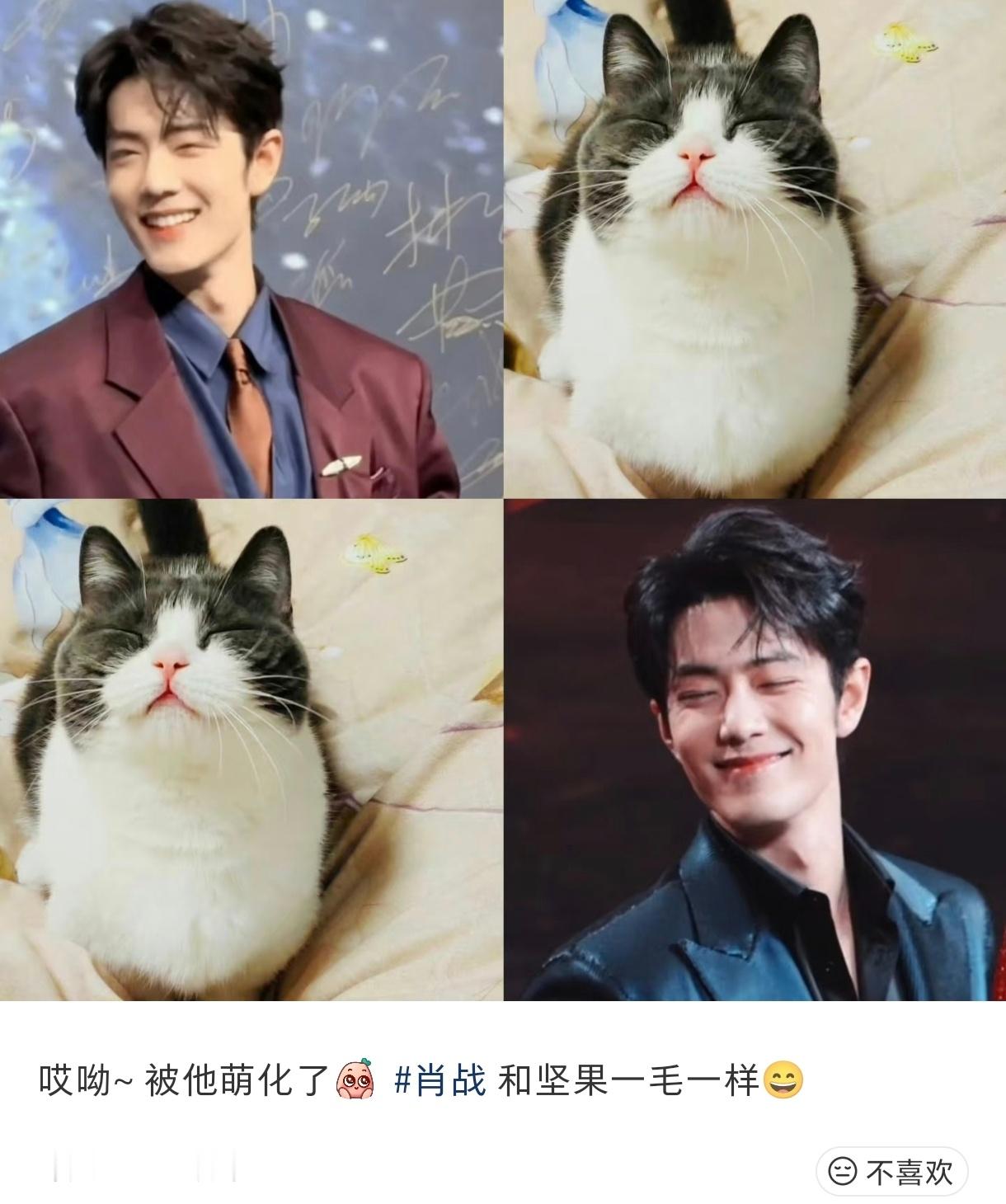 可可爱爱！！！