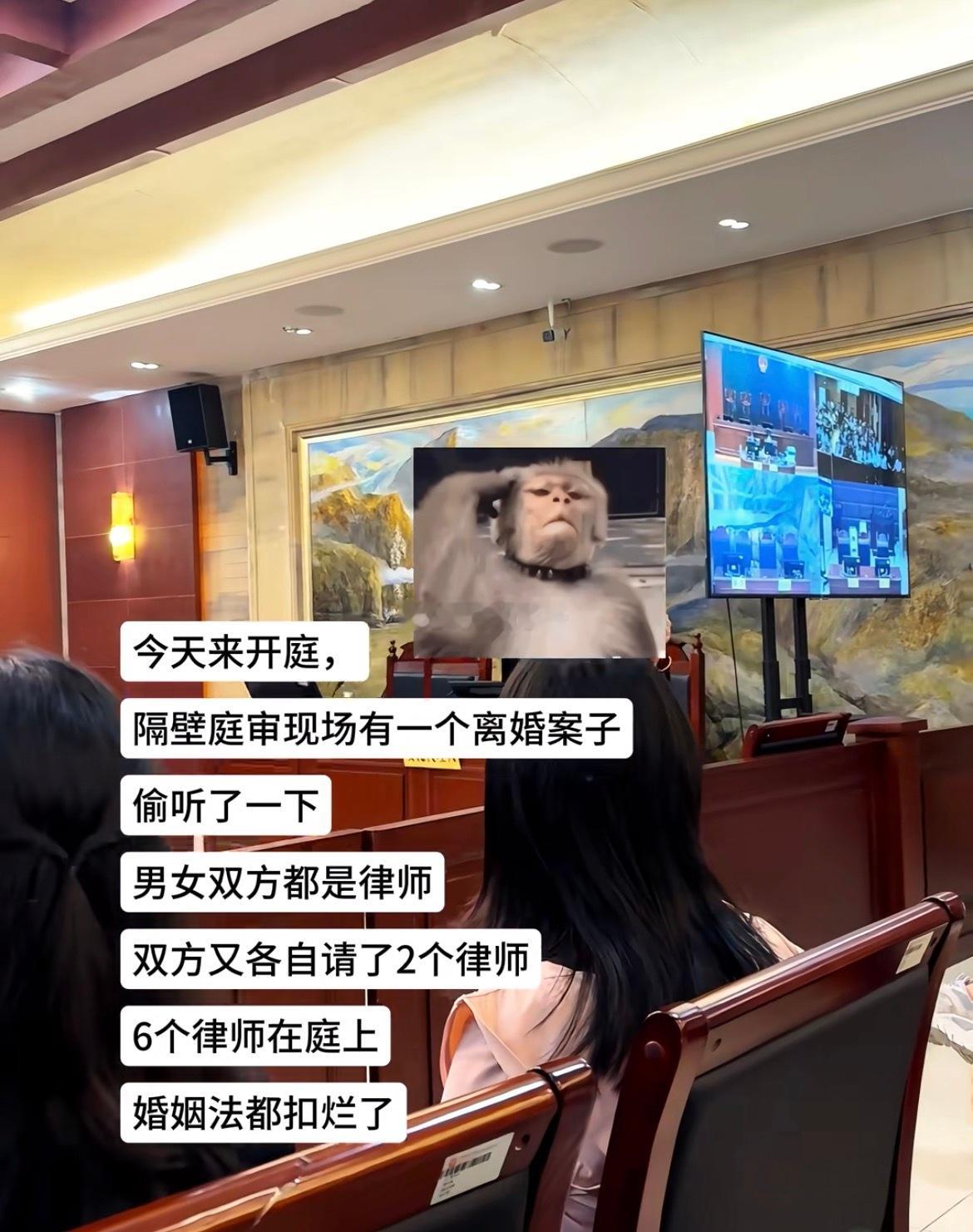 假如败诉，别人找他俩辩护的时候：“别找他，他连自己的离婚案子都没胜诉[笑着哭]