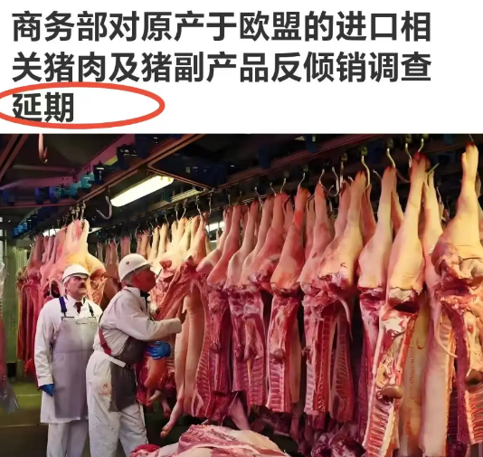 兹事体大，“观一叶而知秋”，中欧关系的冷暖可以从这则商务部不起眼消息中看出些端倪