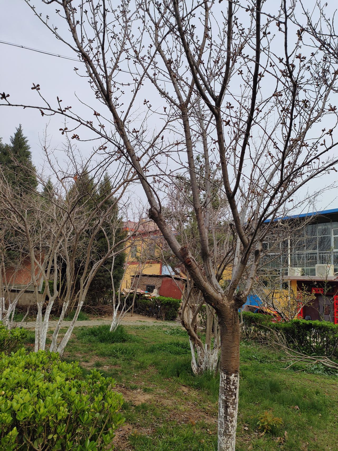 活好自己，你的人生，不需要那么多观众不知道从什么时候开始，我们活得越来越累