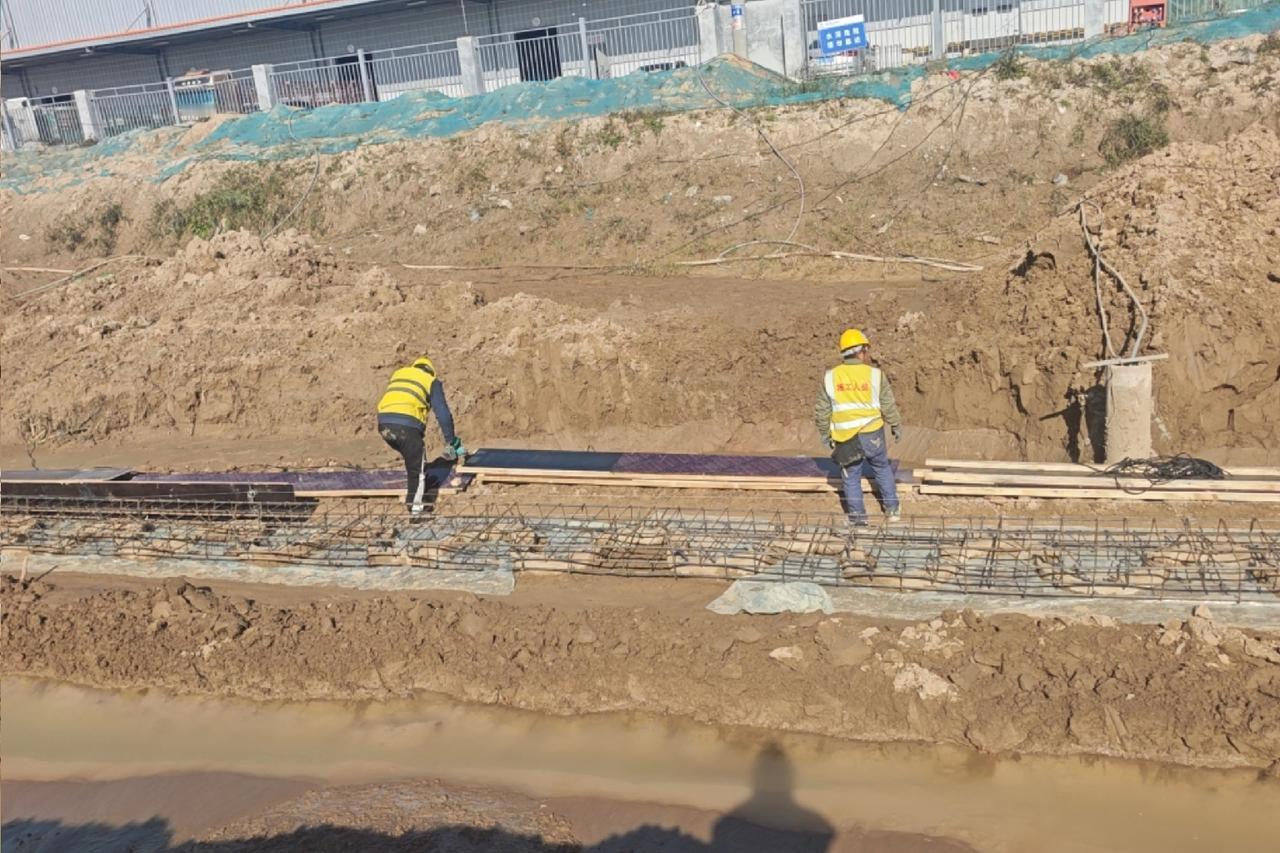 穿越2000年！灭绝1500年植物复活，种子被埋死海荒漠，基因藏着古代迁徙密码