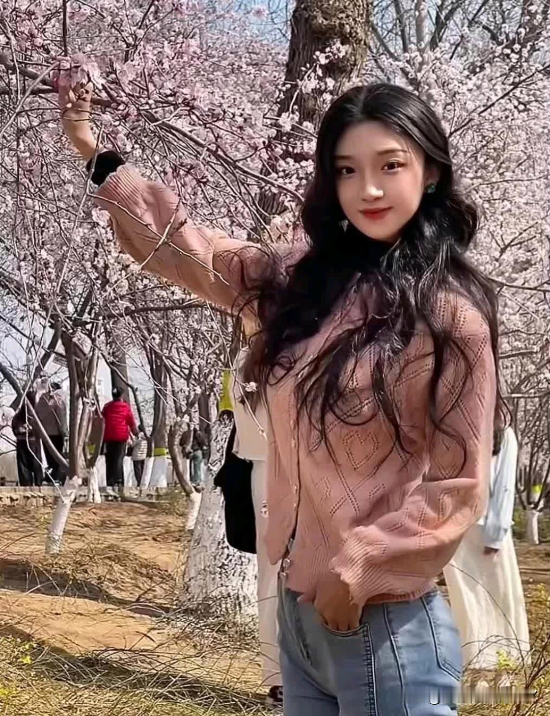 樱花树下，少女轻笑，这画面简直绝了！春日里，风一吹，樱花花瓣如雪般飘飞，轻轻落在