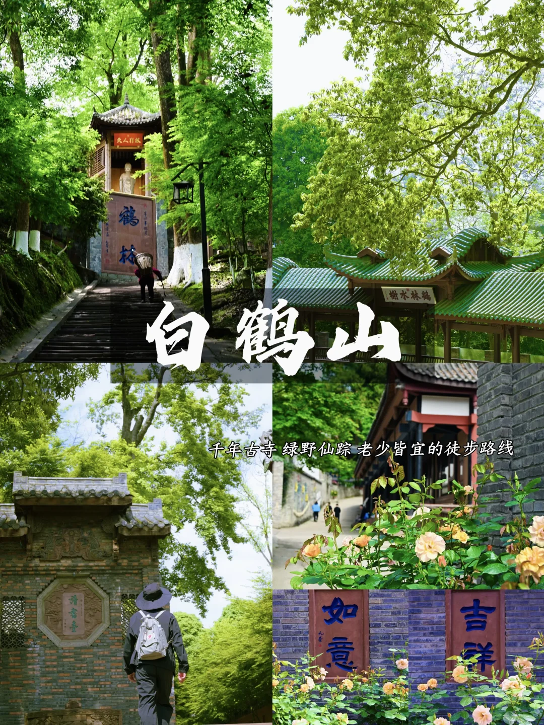 成都周边遛娃‼️🍃白鹤山徒步全攻略老少皆宜