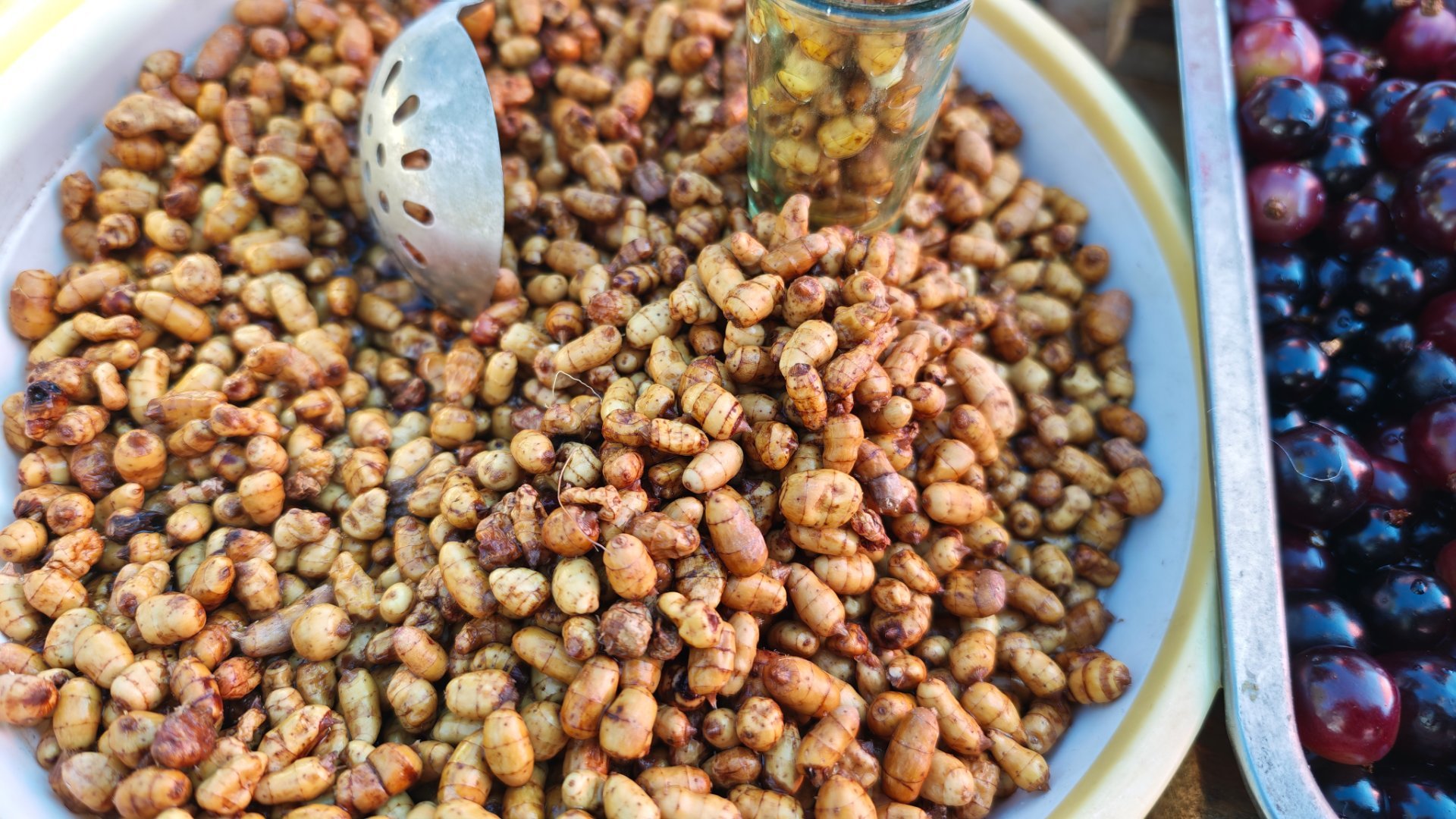 在腾冲吃到从没见过的油豆和树葡萄，油豆又脆又香，好好吃！