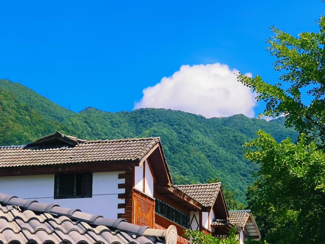 人生难得圆满。一圈亲戚家里数三叔混的最好。年轻的时候家里穷，上到高中就不上了