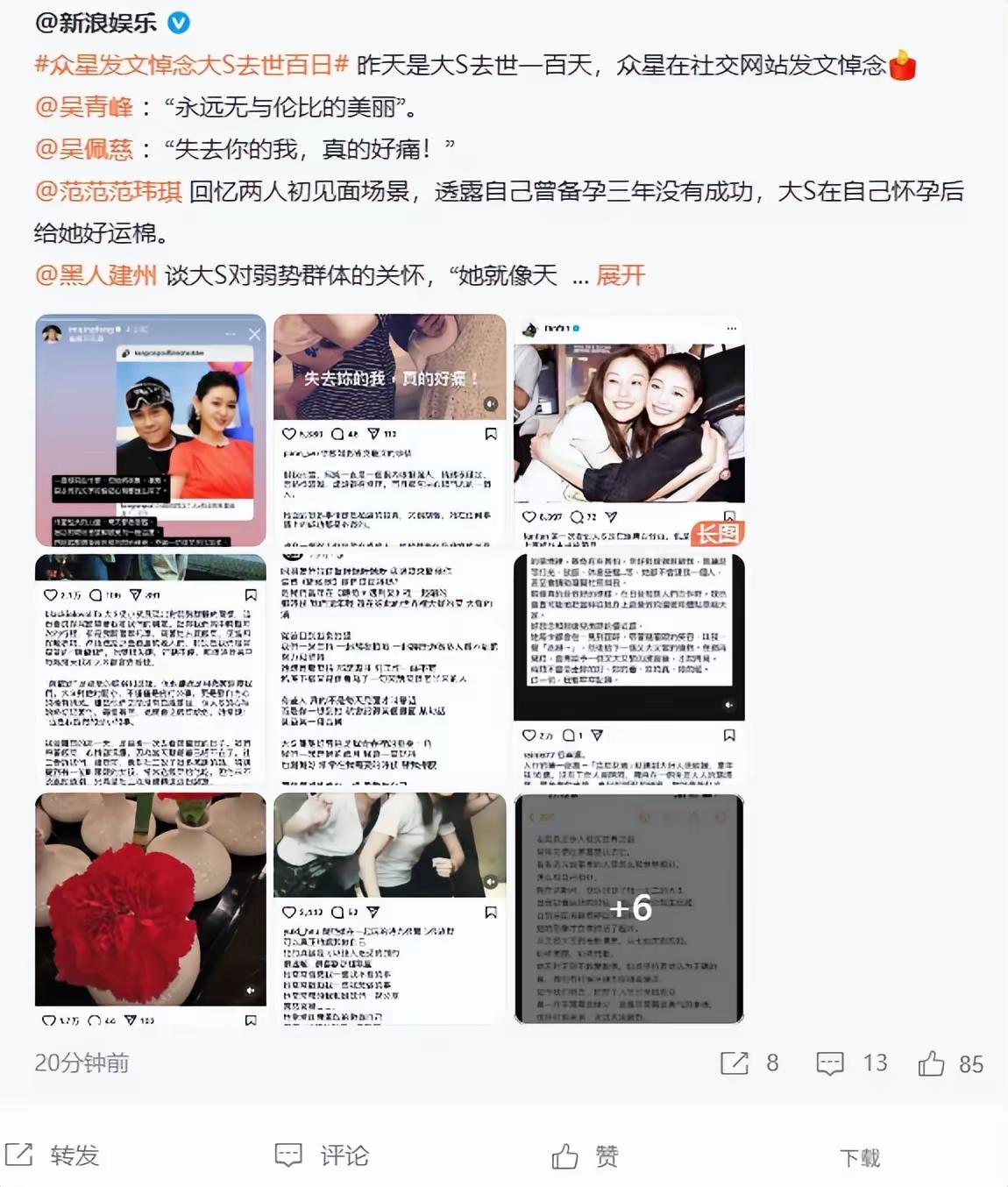 还以为群星悼念大S是一场自发组织的百日祭，结果却是S家的蓄谋已久！小S逐个打电话