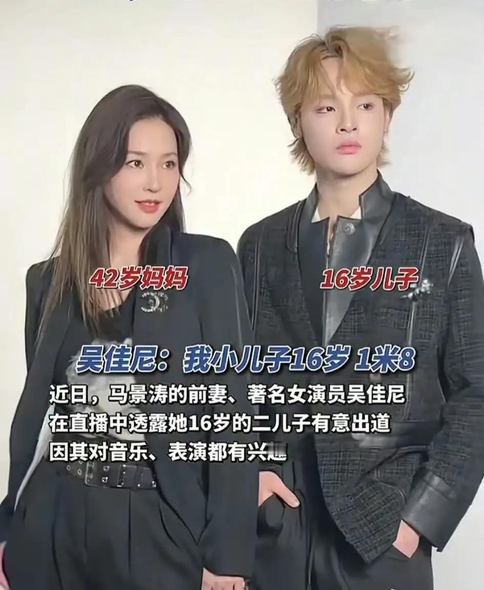 马景涛和吴佳尼的两个儿子，一个像爸爸，一个像妈妈。谁更帅气呢？父母都是帅哥美女，