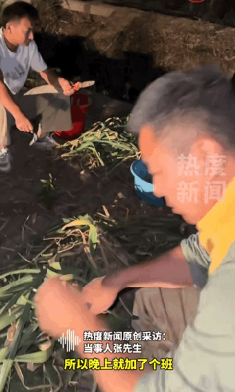 这样的人品全国罕见！5月25日，”山东菏泽，男子帮岳母收蒜到晚上十点，就因妻子临