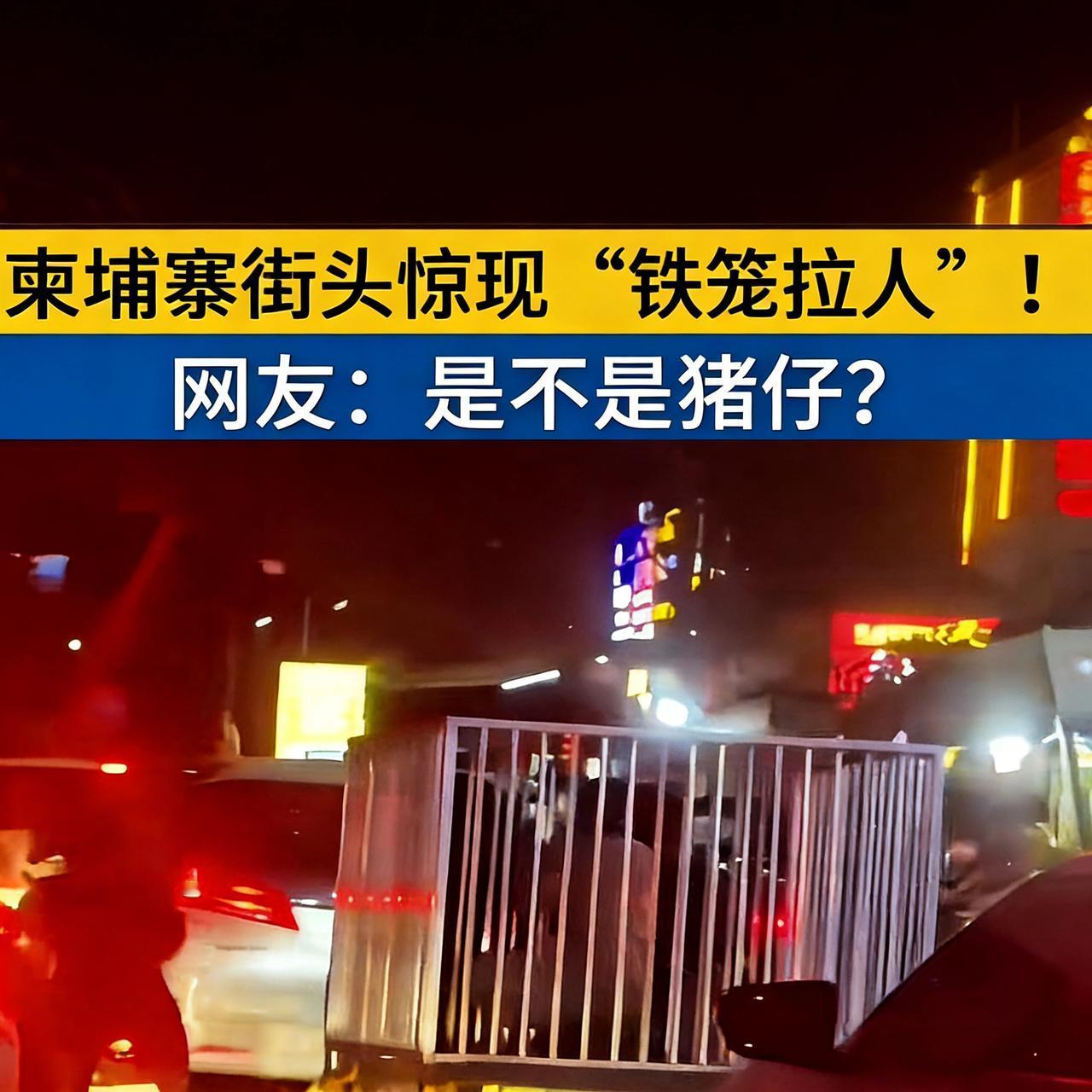 柬埔寨街头惊现铁笼拉“猪仔”公然行驶在大街上！“猪仔”是对被骗至柬埔寨的电诈人员