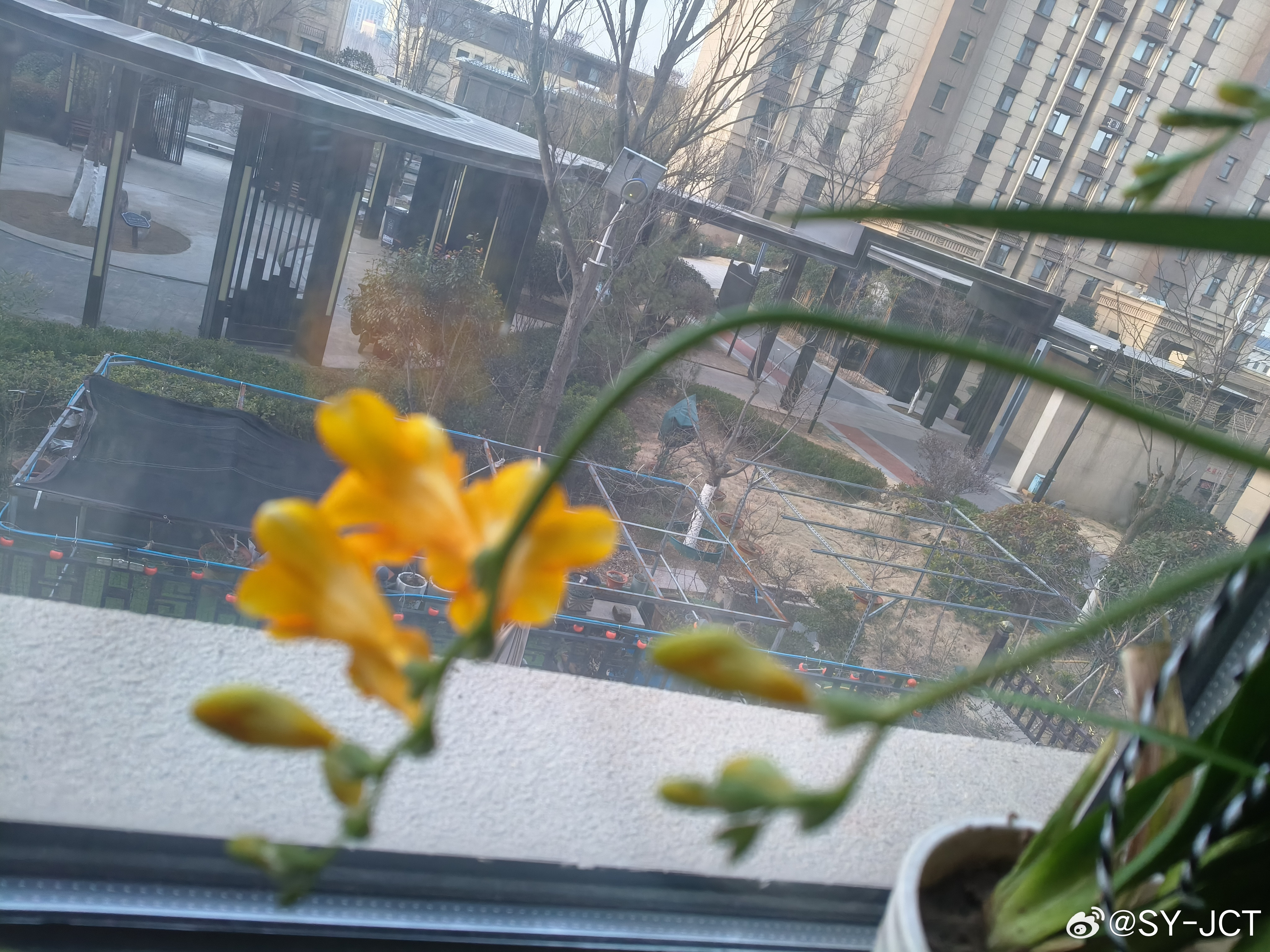 无论有多困难，都坚强地抬头挺胸，人生是一场醒悟，不要昨天，不要明天，只要今天。活