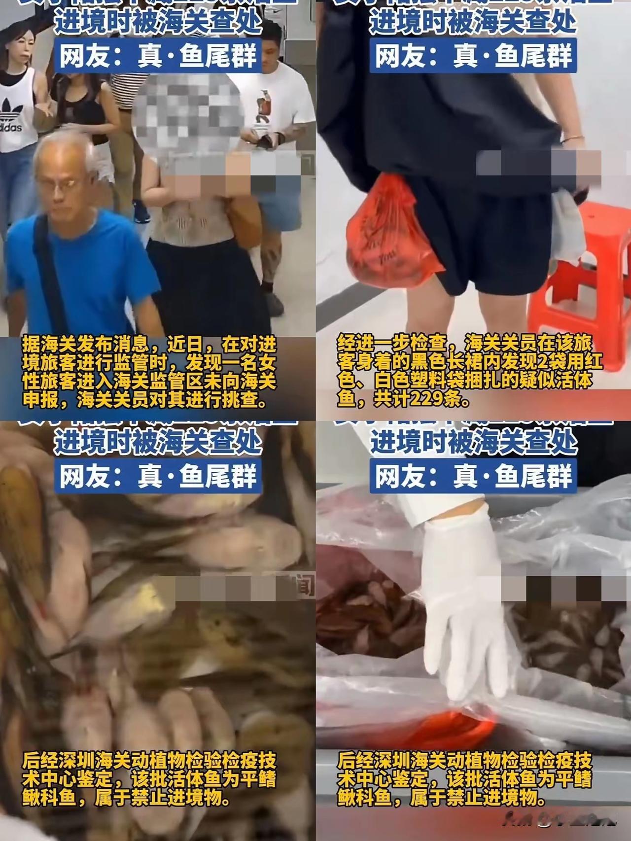 这下可算出名了，不光深圳，全国人都知道了！一女的就靠两个塑料袋，居然带了22