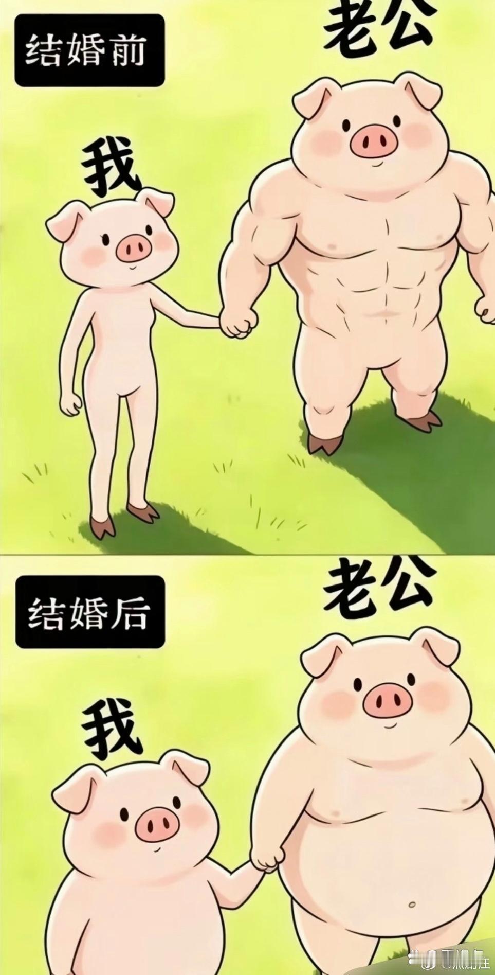 结婚前后对比。