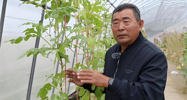 黑龙江农民拒绝300万美元挖角，攻克多国专家几十年未解农业难题！