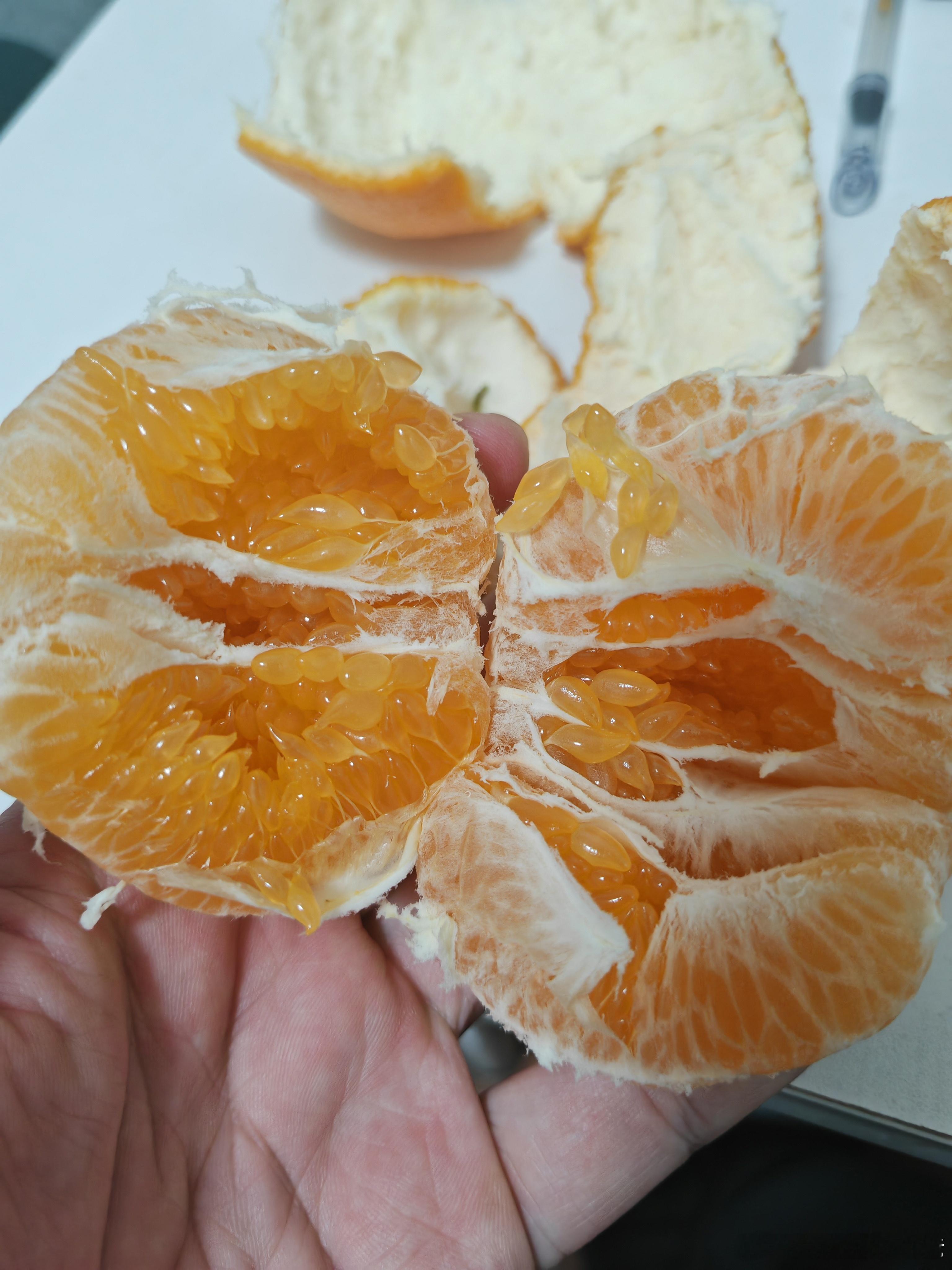 到了吃耙耙柑的季节了！