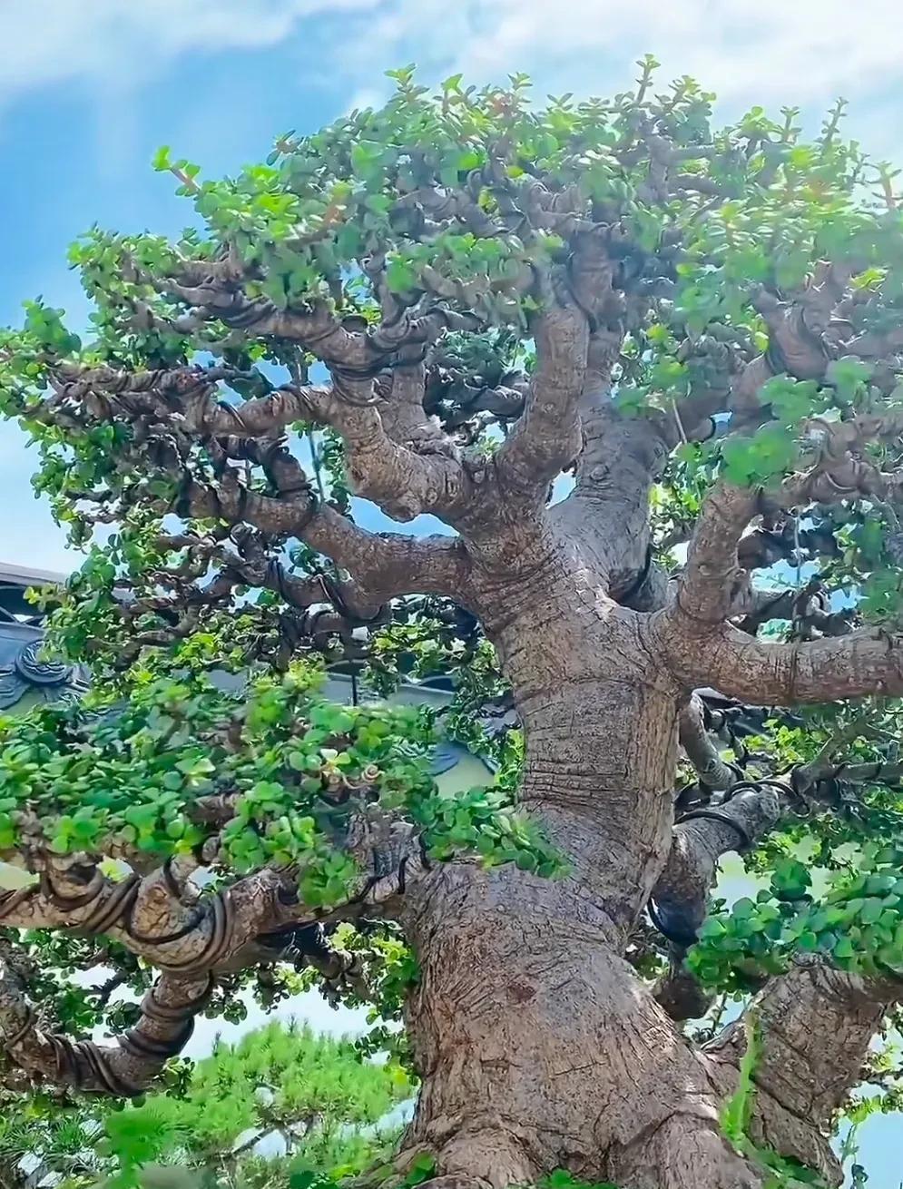 在单位上班，如果你感到不顺，请放弃做这四件事:1，和领导较劲2，对同事挑剔