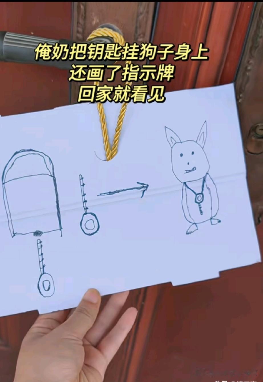 别看奶奶年龄大了，但办事特别严谨，他出外溜达，把钥匙挂在了狗脖子上，还特意写了个