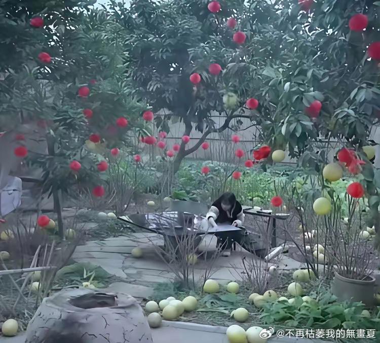 有人质疑李子柒院子里的柚子是摆拍的，直到去了四川才知道是真的，大街上全是柚子……