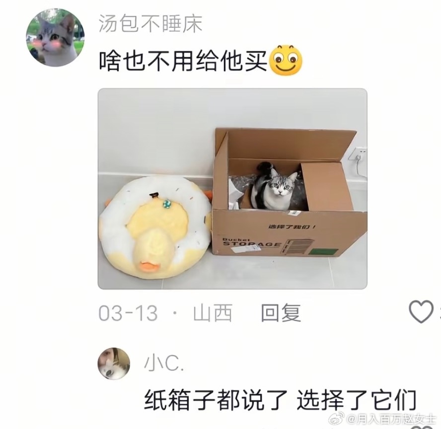 猫为什么钟爱破纸箱子呢？猫：金窝银窝都不如纸箱子窝