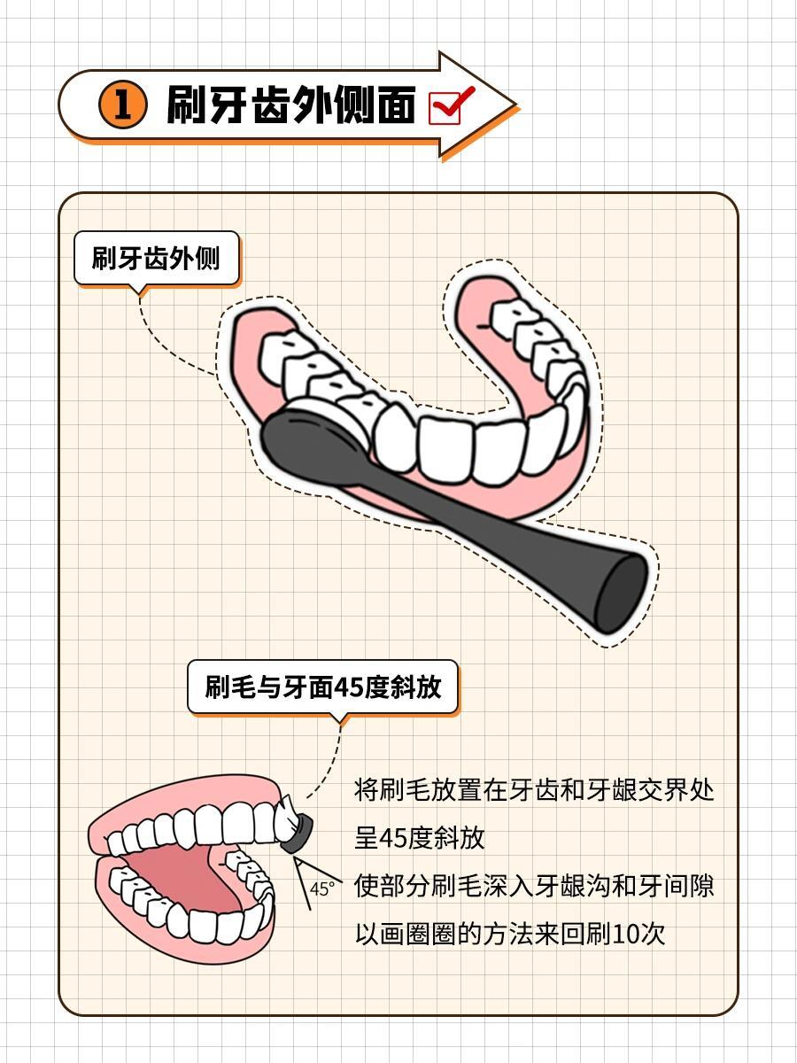 每天刷牙却还是蛀牙？你刷对了吗？根据《第四次全国口腔健康流行病学调查》：在35~