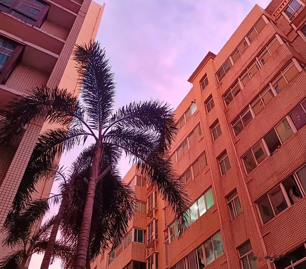 都说家丑不可外扬，我妹妹又被脾气暴躁的公公扇两个大耳光。她婆婆不但没帮忙，反而