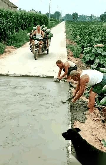 那一车西瓜翻下来的时候，我跟你讲，连瓜瓤都是解气的红色。新铺的水泥路，还没干透