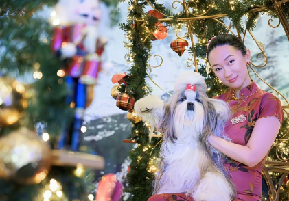 现在娱乐圈最郁闷的明星估计就是霍思燕了她带着爱犬在国际犬展夺得冠军，可是网友