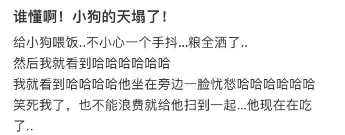 谁懂啊！小狗的天塌了！！！！