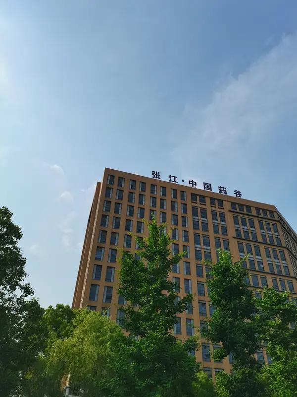 30万买个教训！朋友的血泪史：告诉我们千万别只认“名牌”就炒股！“江中健胃消